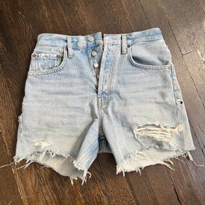 AGOLDE Riley High Rise Slim Short in Groove